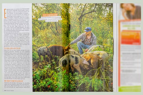 Glückliche Schweine - Health - Seite 2