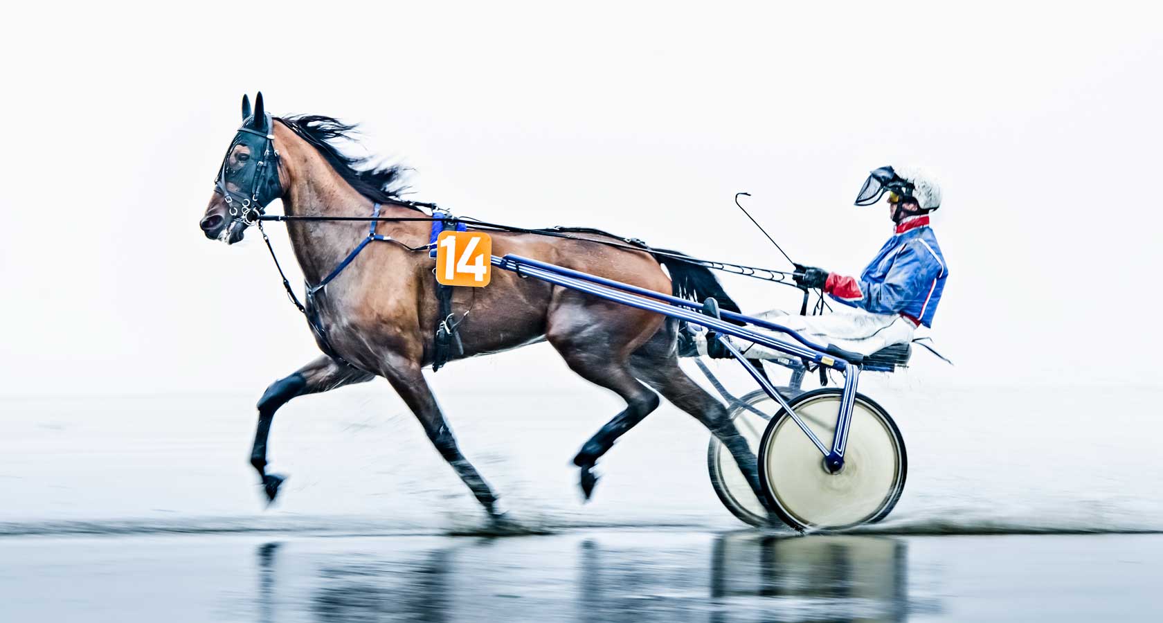 Sportfotografie aus Hamburg zum hinschauen!